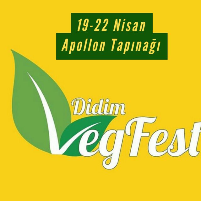 DİDİM VEGFEST 2019