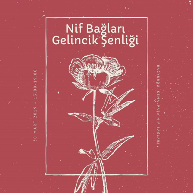 NİF BAĞLARI GELİNCİK ŞENLİĞİ